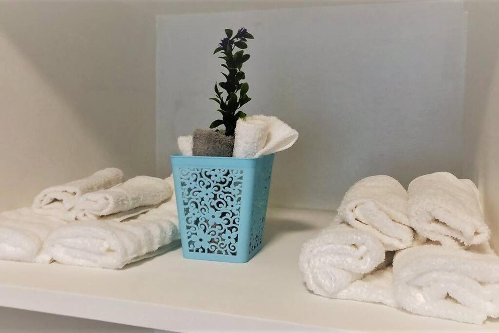 Lovely 1 Bedroom Apartment W/Private Parking Ensenada Kültér fotó